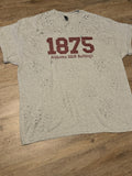 Custom 1875 Team Tee | Grey • 2XL